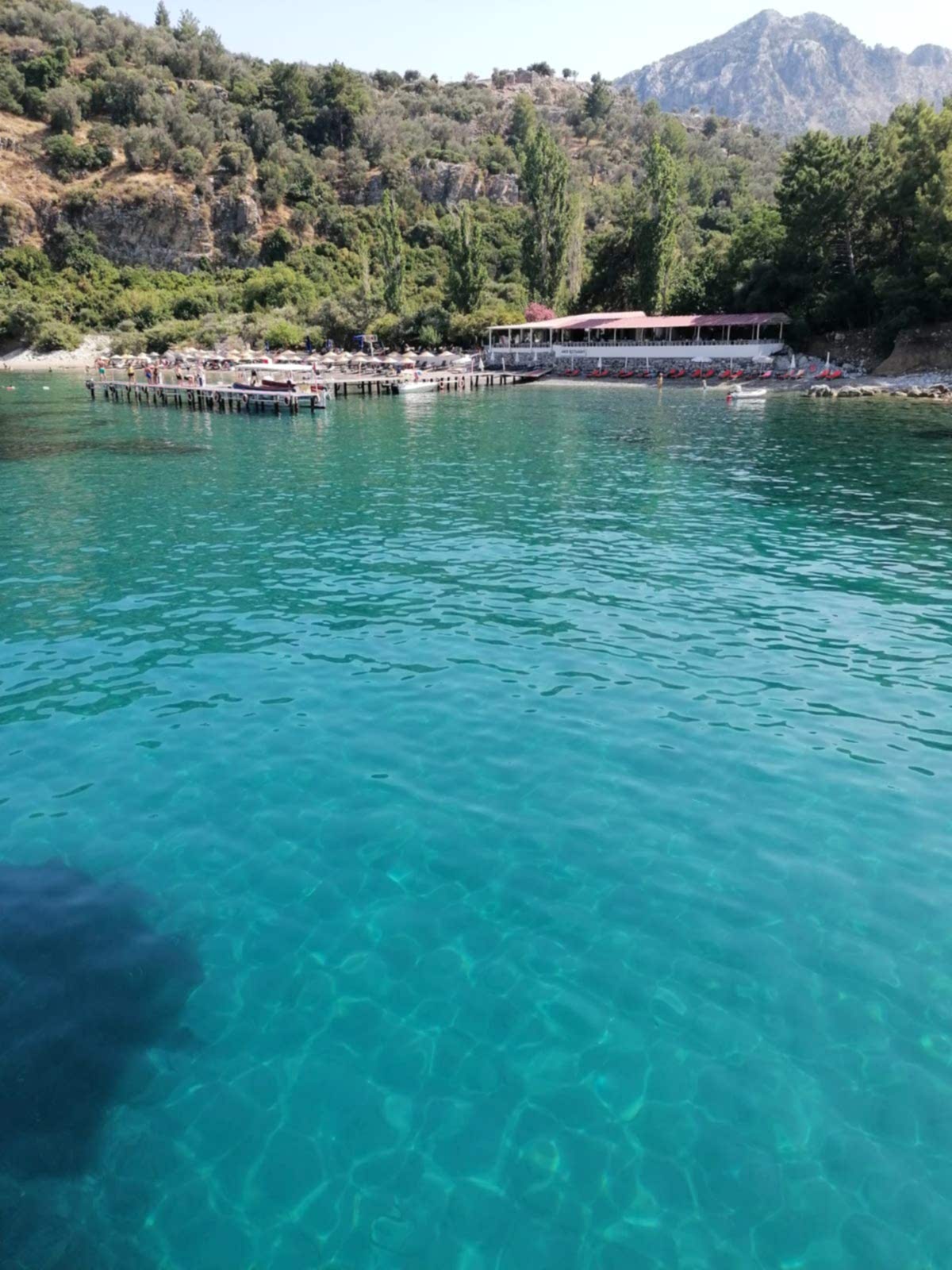 berrak deniz boat amos akvaryum koyu