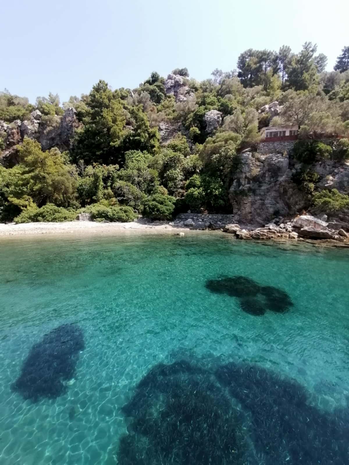 berrak deniz boat kadırga koyu